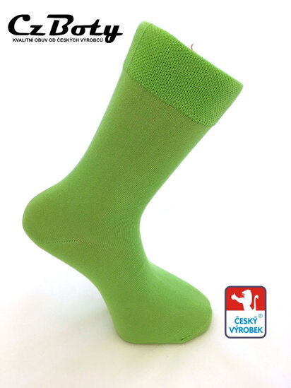 Pánské ponožky Parrot - zelené